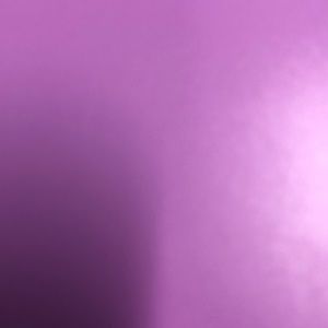 Meet your Posher, Molly